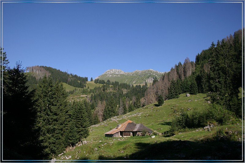 20050812_175